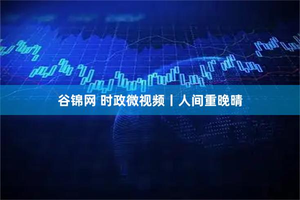 谷锦网 时政微视频丨人间重晚晴