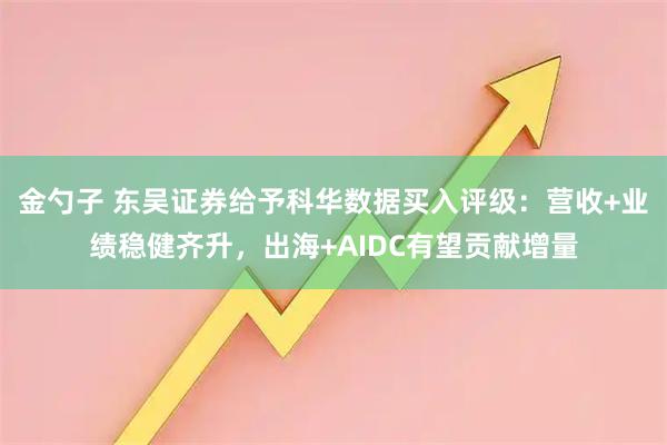 金勺子 东吴证券给予科华数据买入评级：营收+业绩稳健齐升，出海+AIDC有望贡献增量