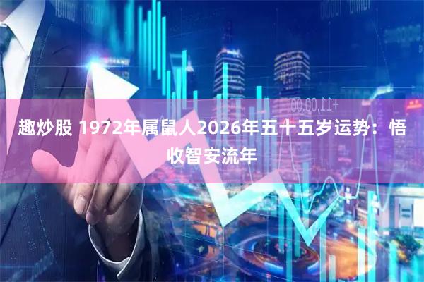 趣炒股 1972年属鼠人2026年五十五岁运势：悟收智安流年